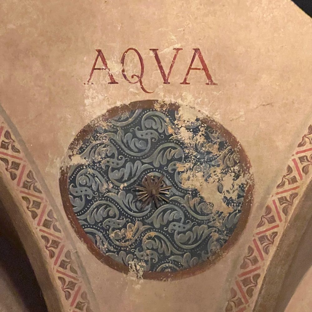 VCAYA