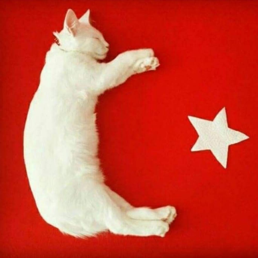 asosyal