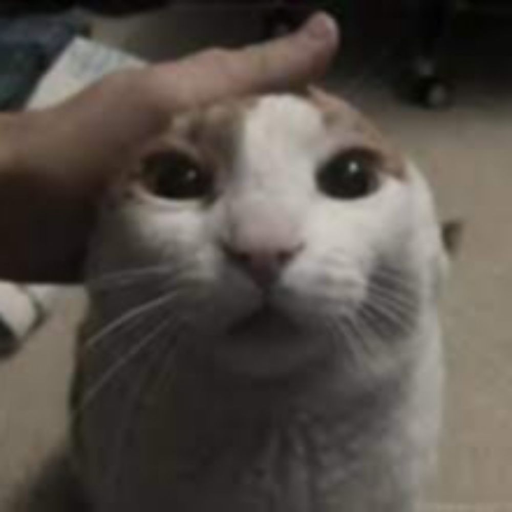Chulitoelluchito