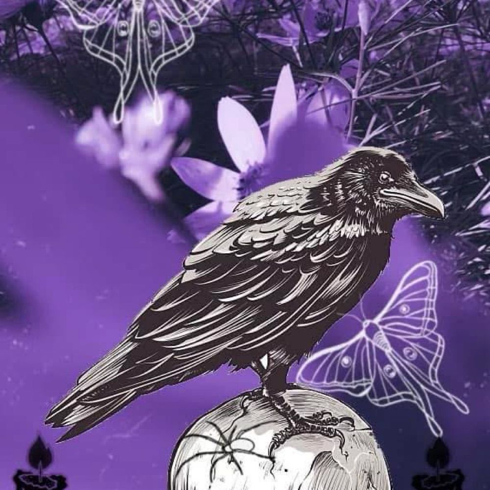 The Enlightened Raven