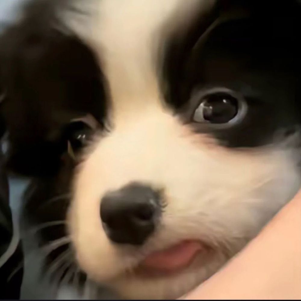 👀💗
