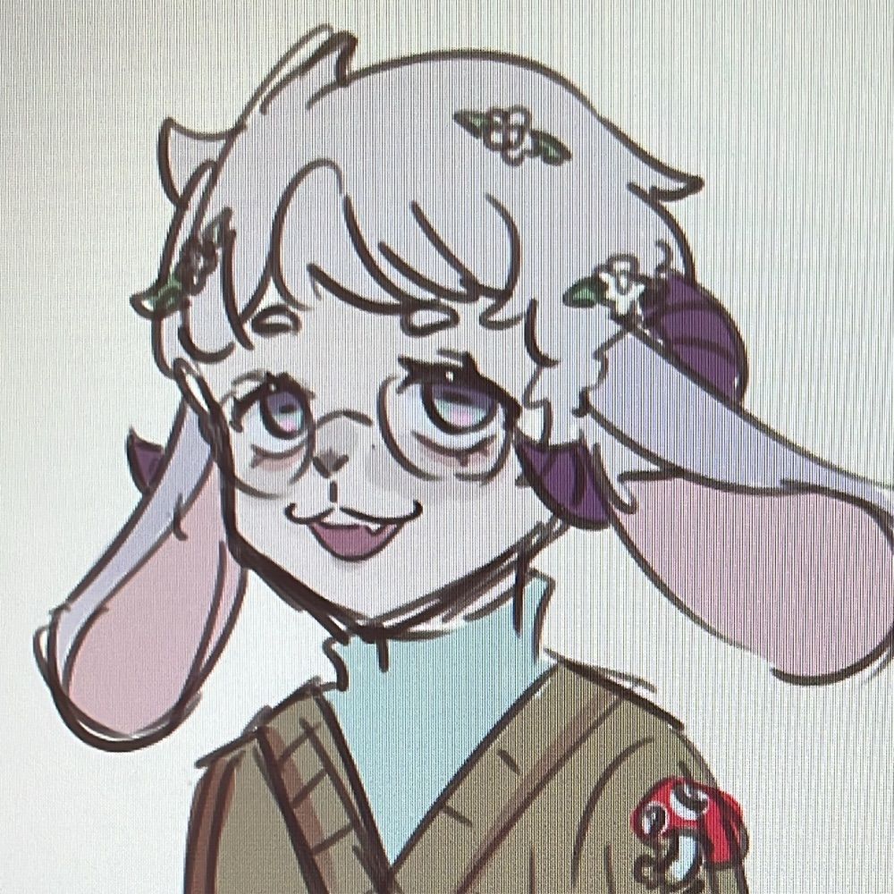 Winggor🐑