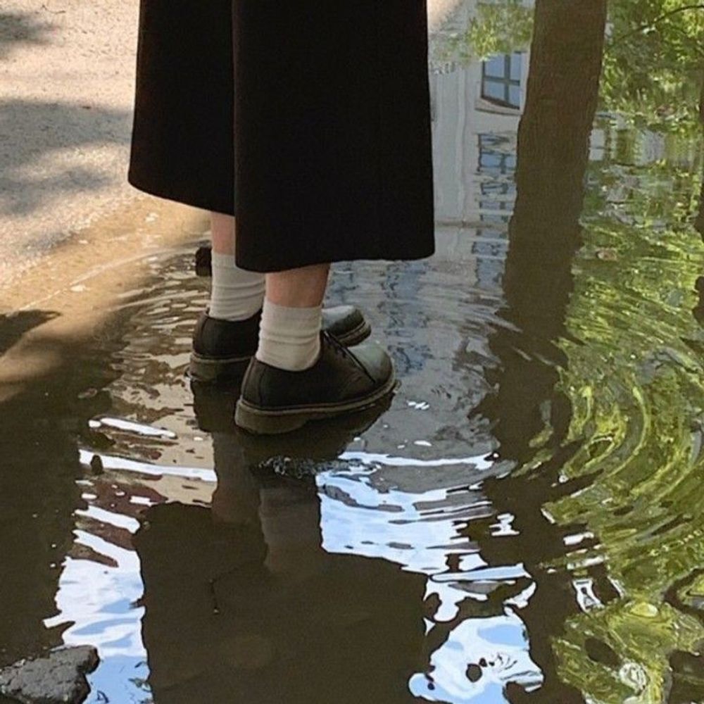 ayuu✧