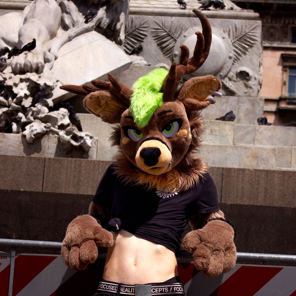 The_Deer_Seishin