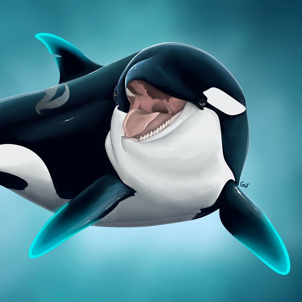 Kayla the Orca