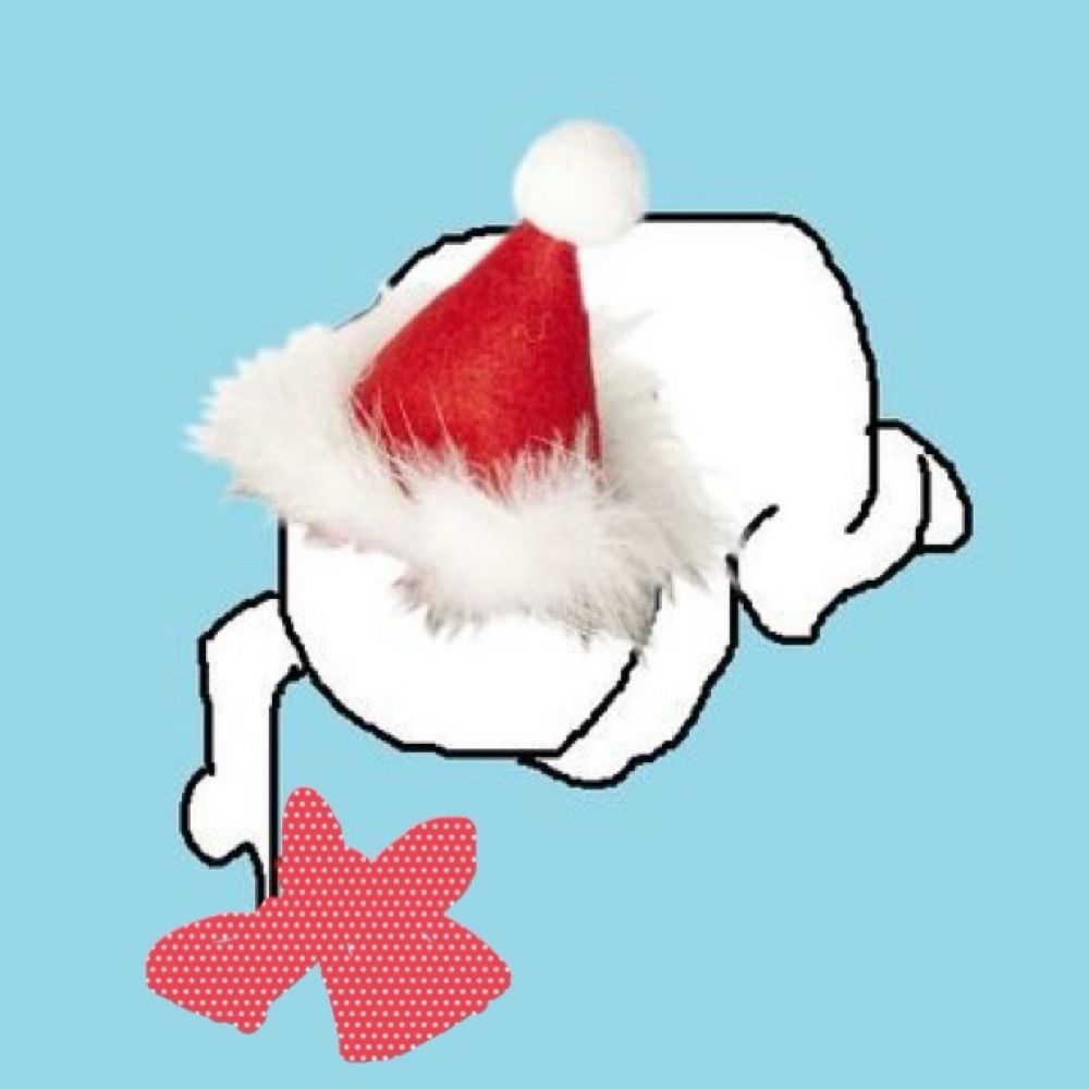 苑未