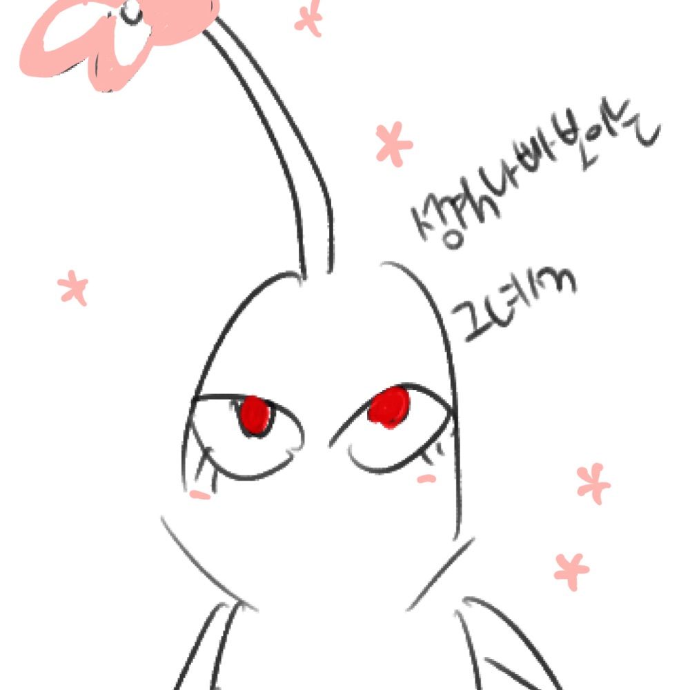 보블🫧