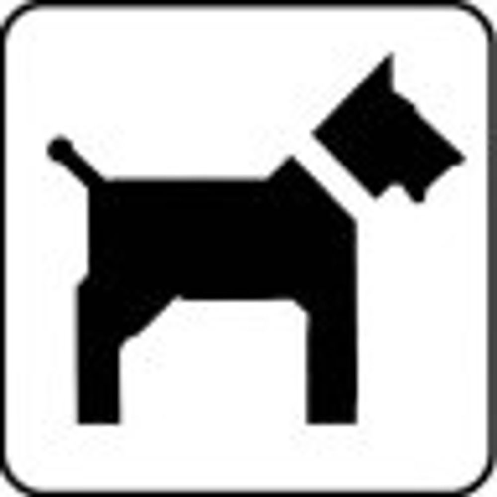Eagerterrier