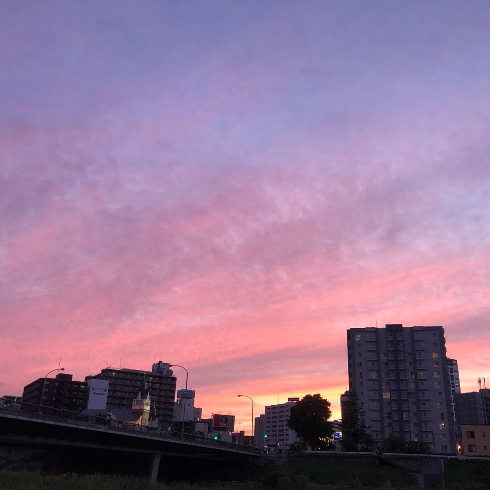 柊夕陽
