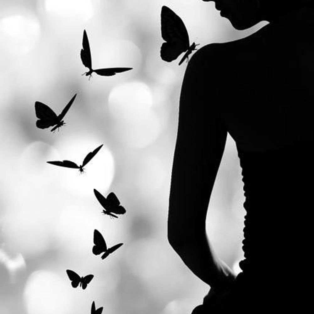 🦋 Little_Butterfly 🦋 