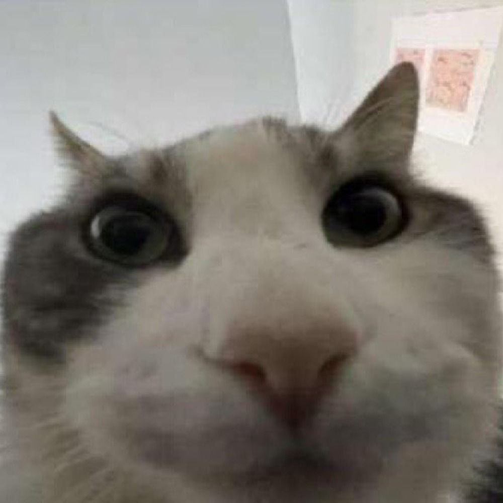 beansclef