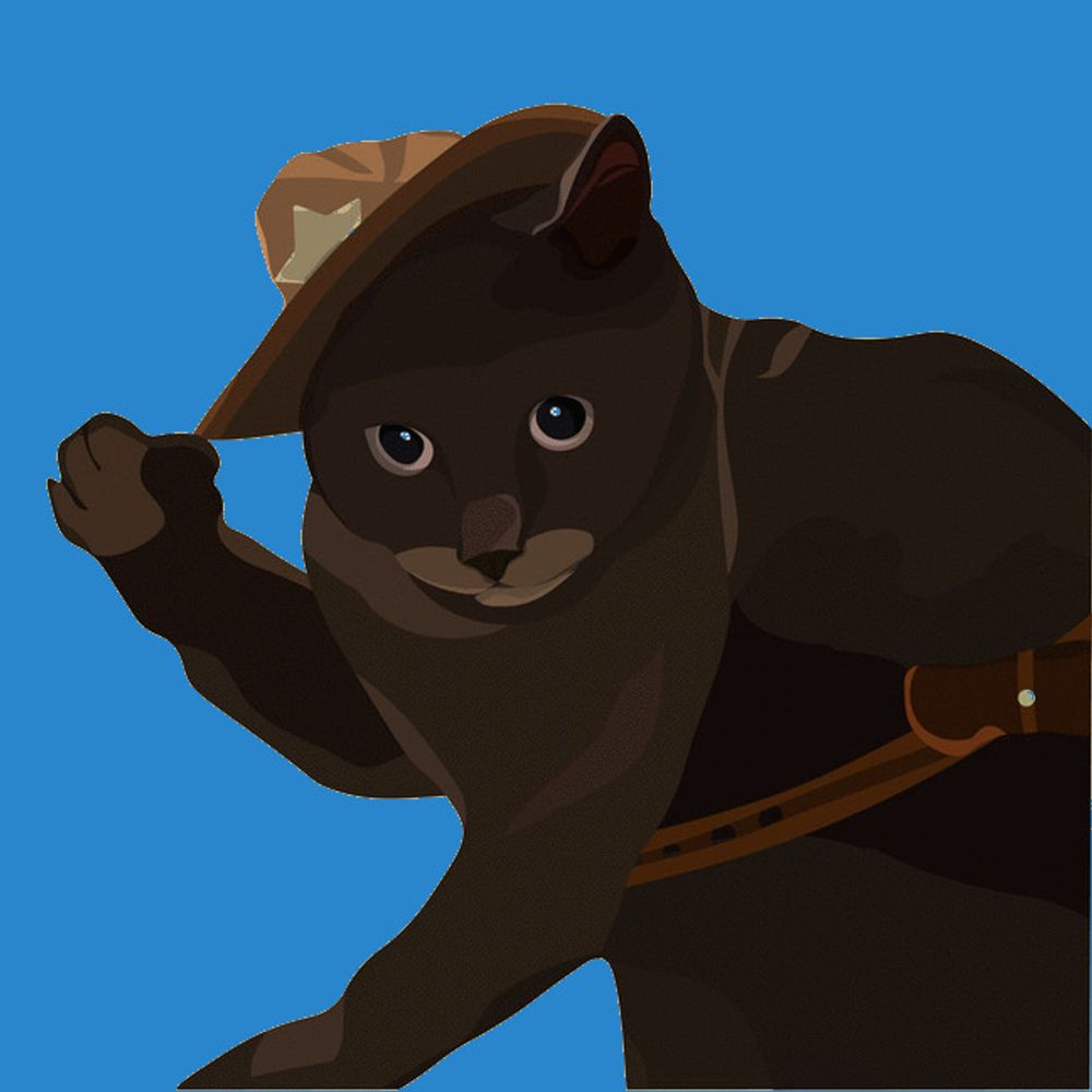 Profile picture cowboycat1.bsky.social