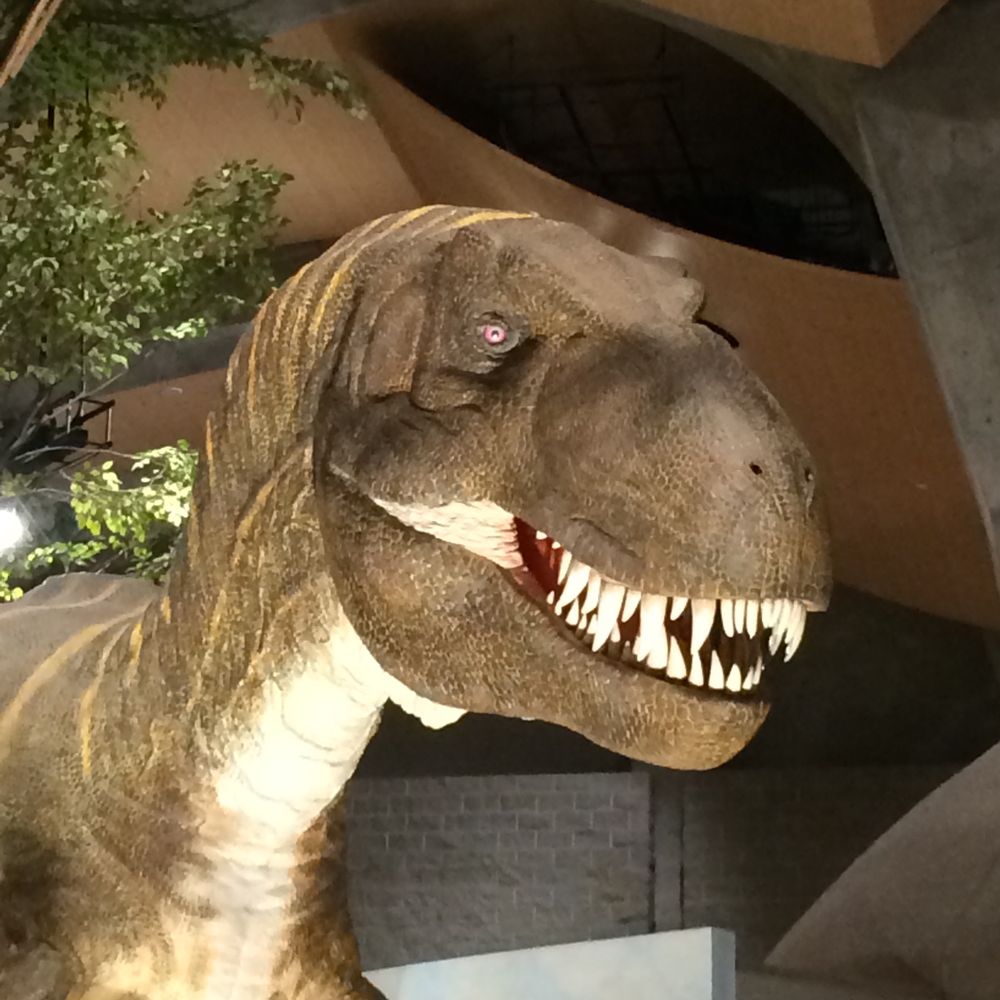 𝔸ℝ𝕌𝕊𝔸𝕌ℝ𝕌𝕊🦖