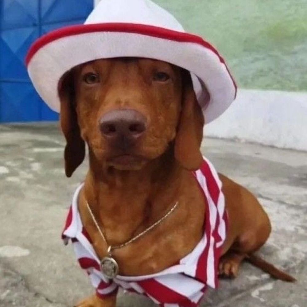Bidu bebe e chora