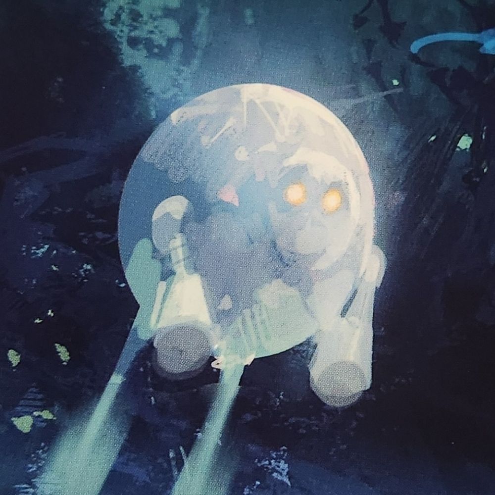 붉은솜/mushroom