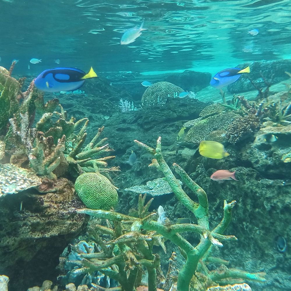 水族館