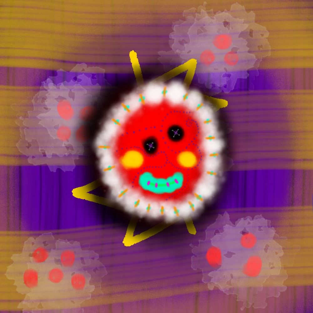 BOXYBISCUIT