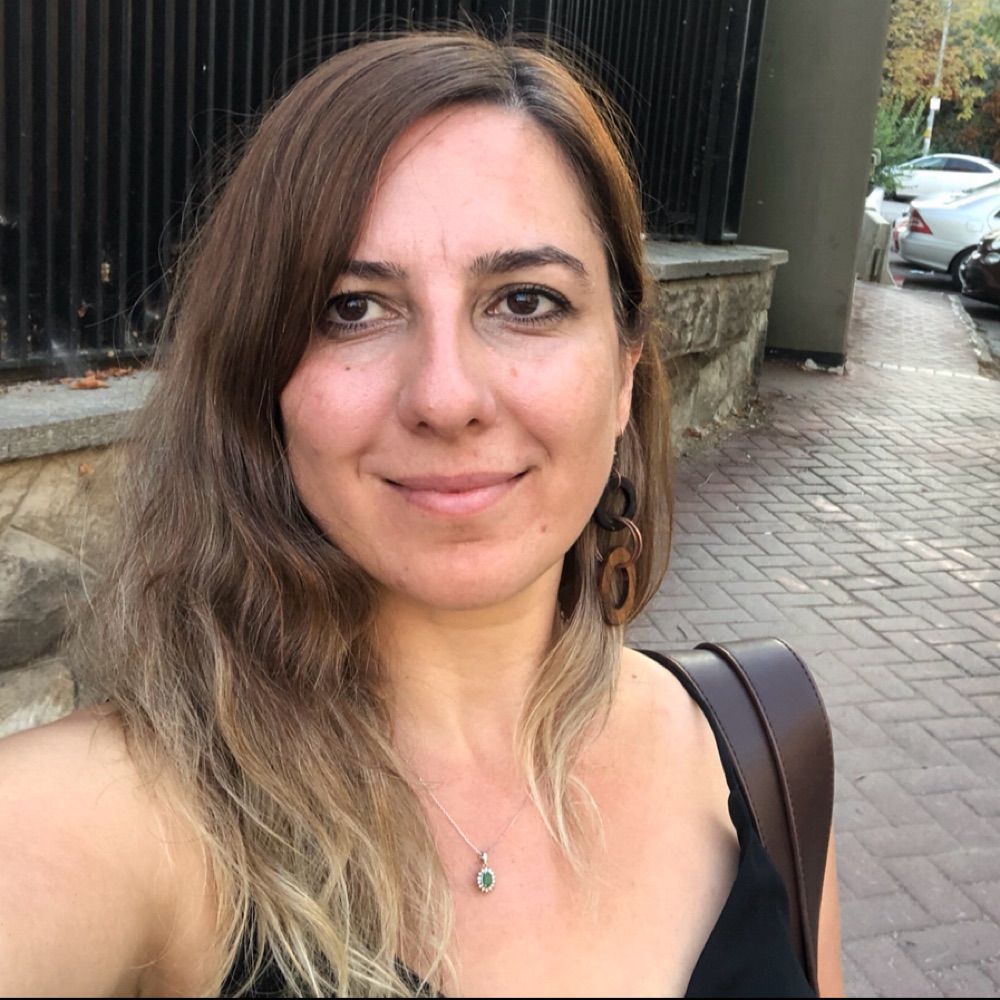 Didem Aslan Çetin