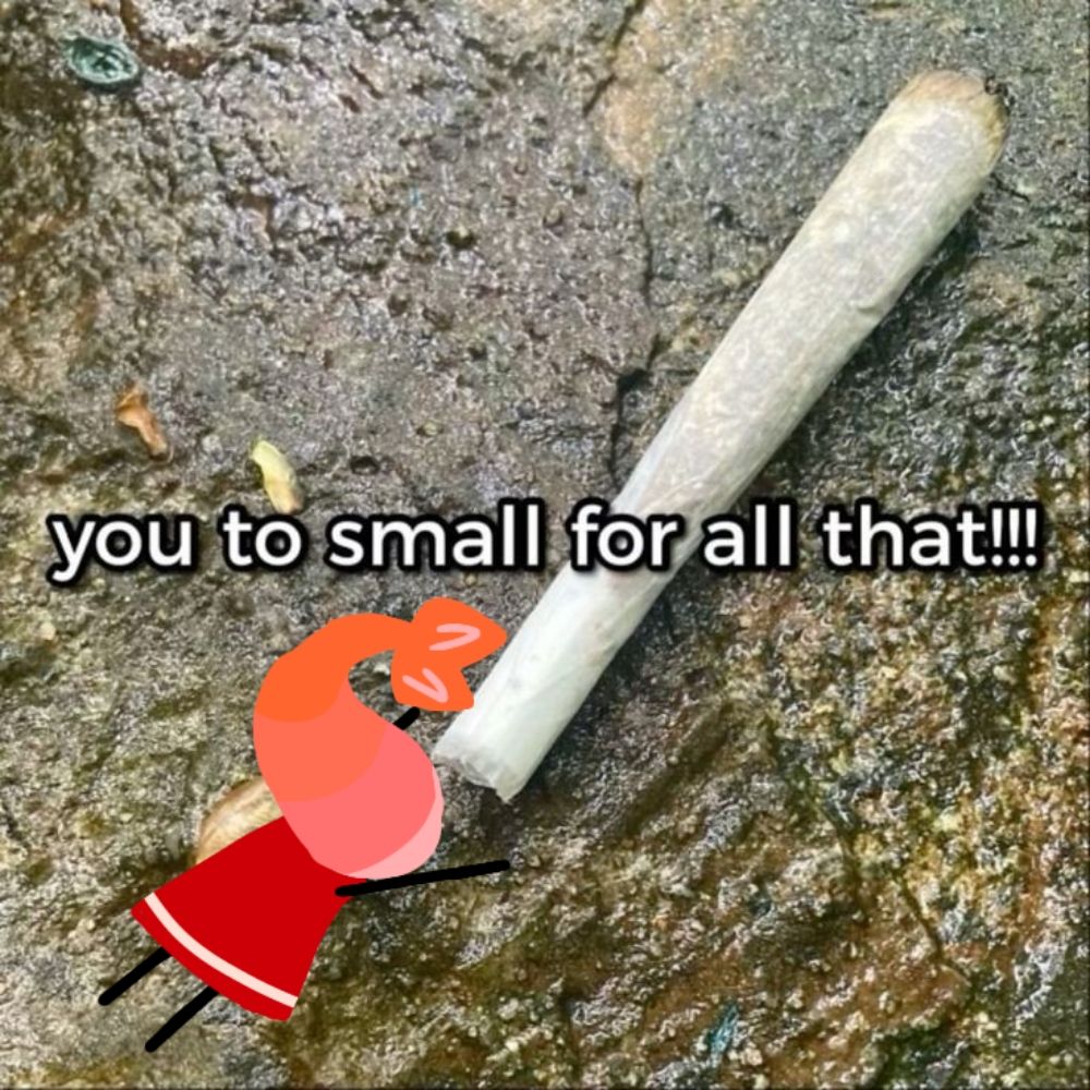 Boner (Comms open!)