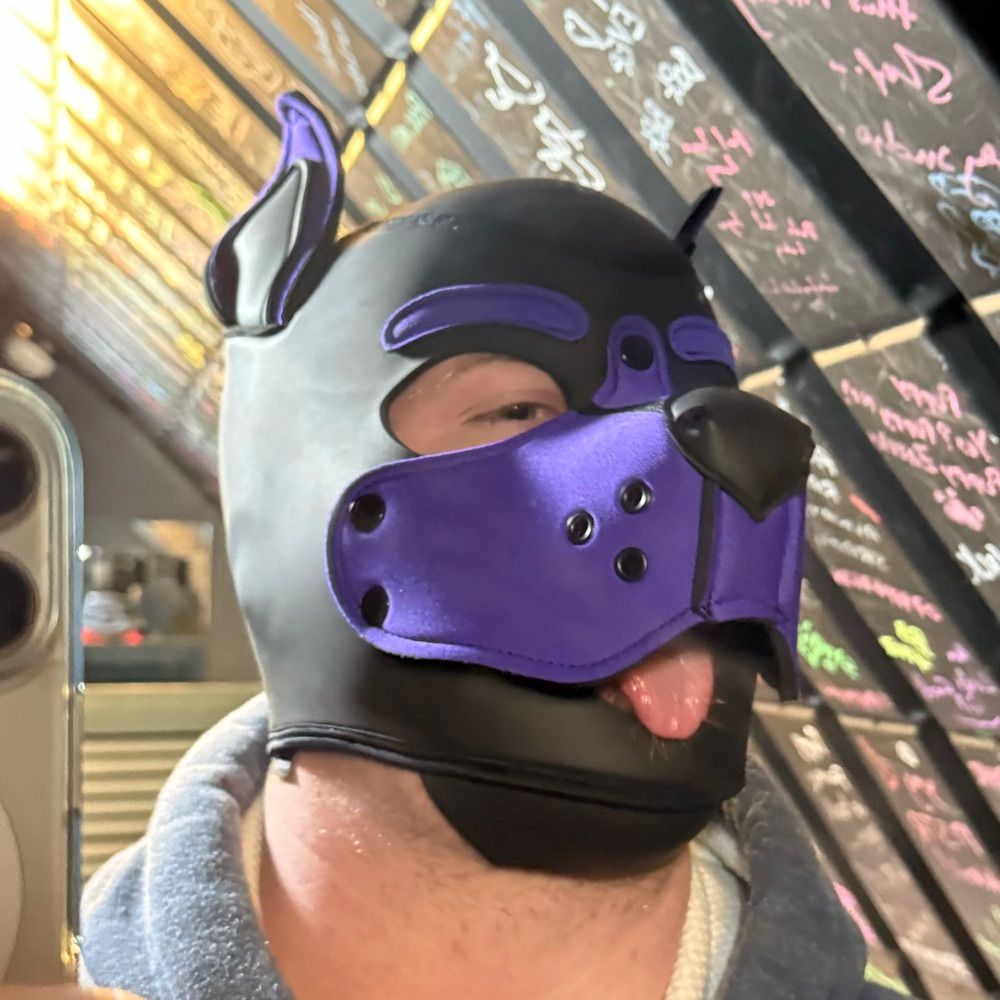 Nyx Pup