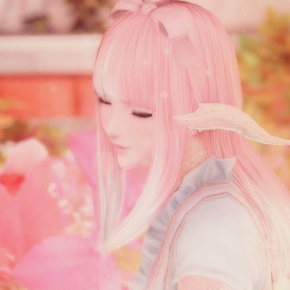 ·̩͙꒰ঌ めぇ ໒꒱·̩͙