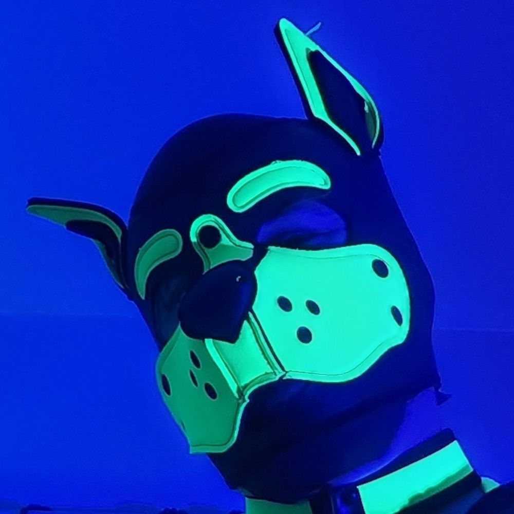 Pup Rex