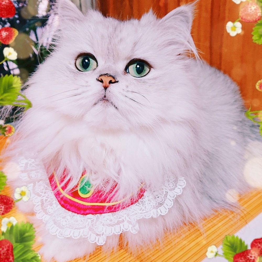 ルビー
