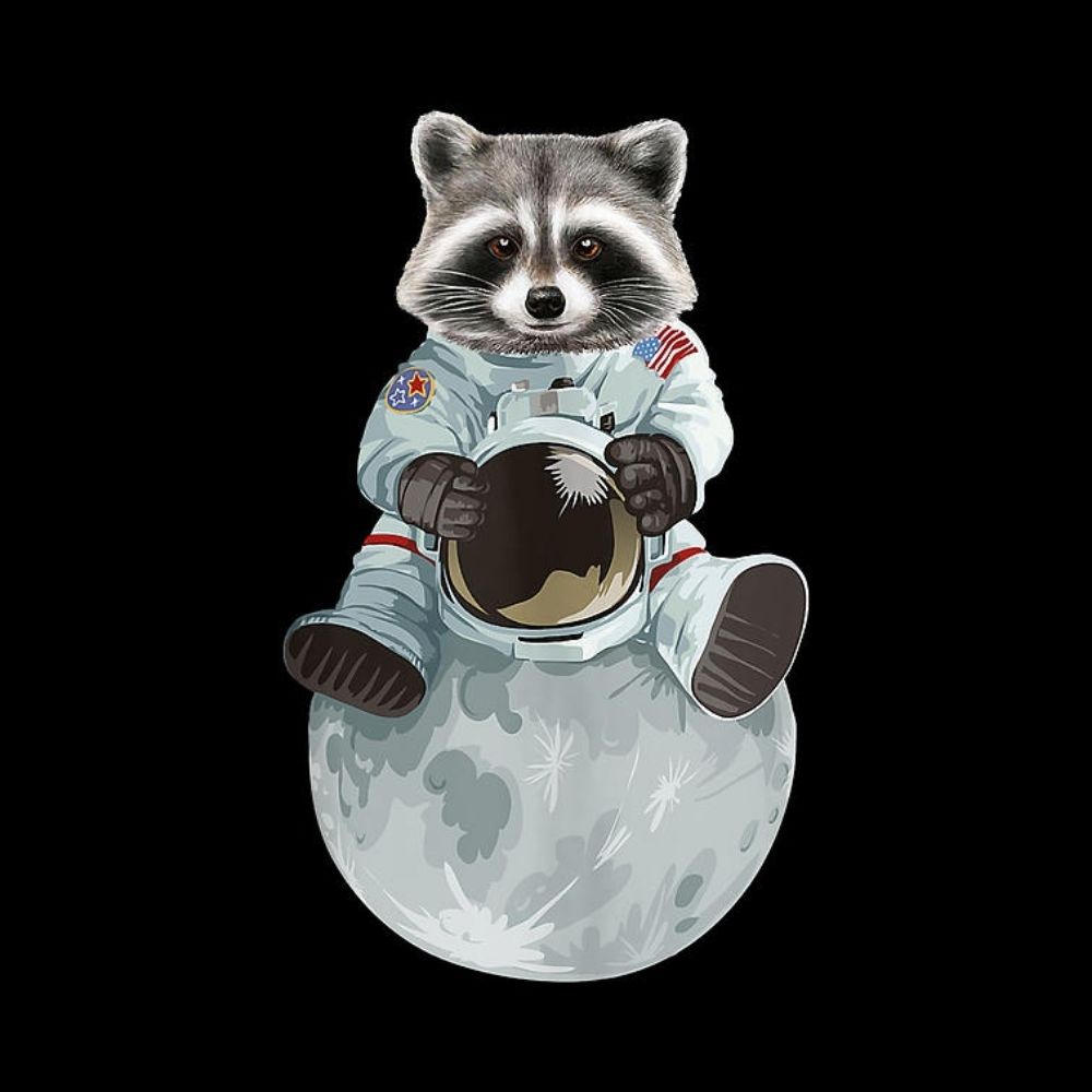 ✨ Cosmic Raccoon ✨