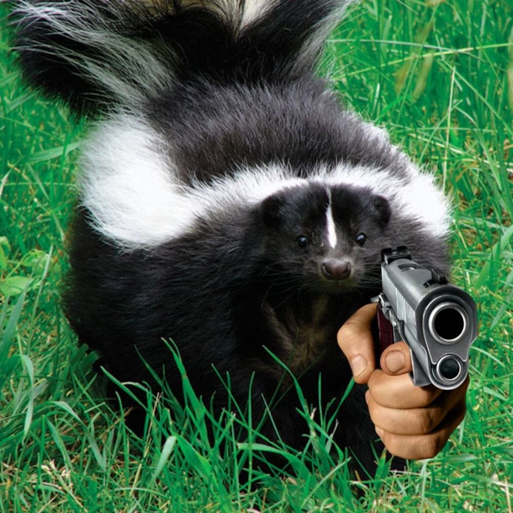 The Drunken Skunk