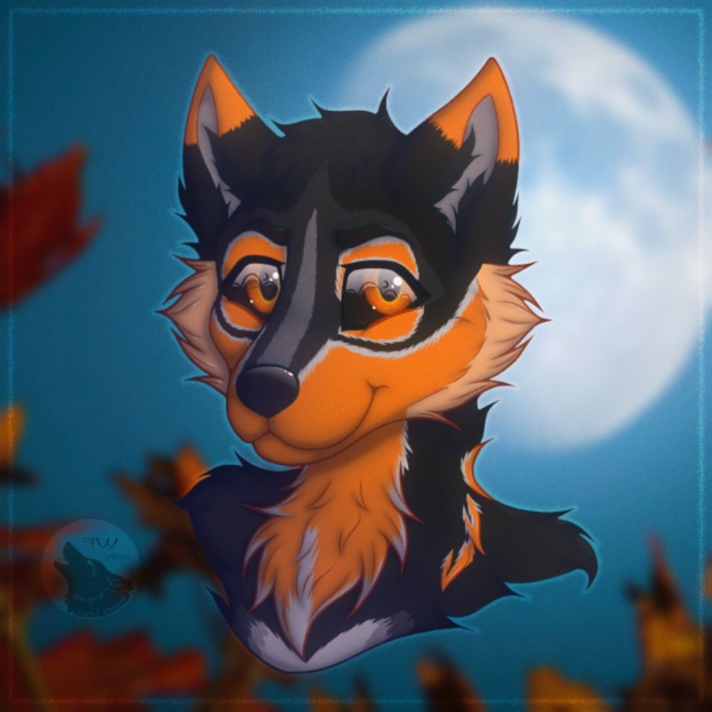 Midnight Wolf