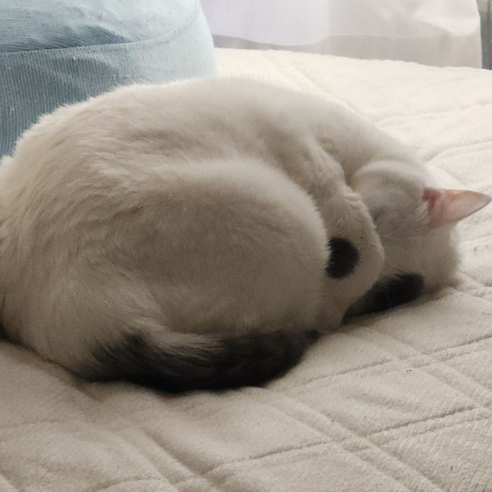 みどり