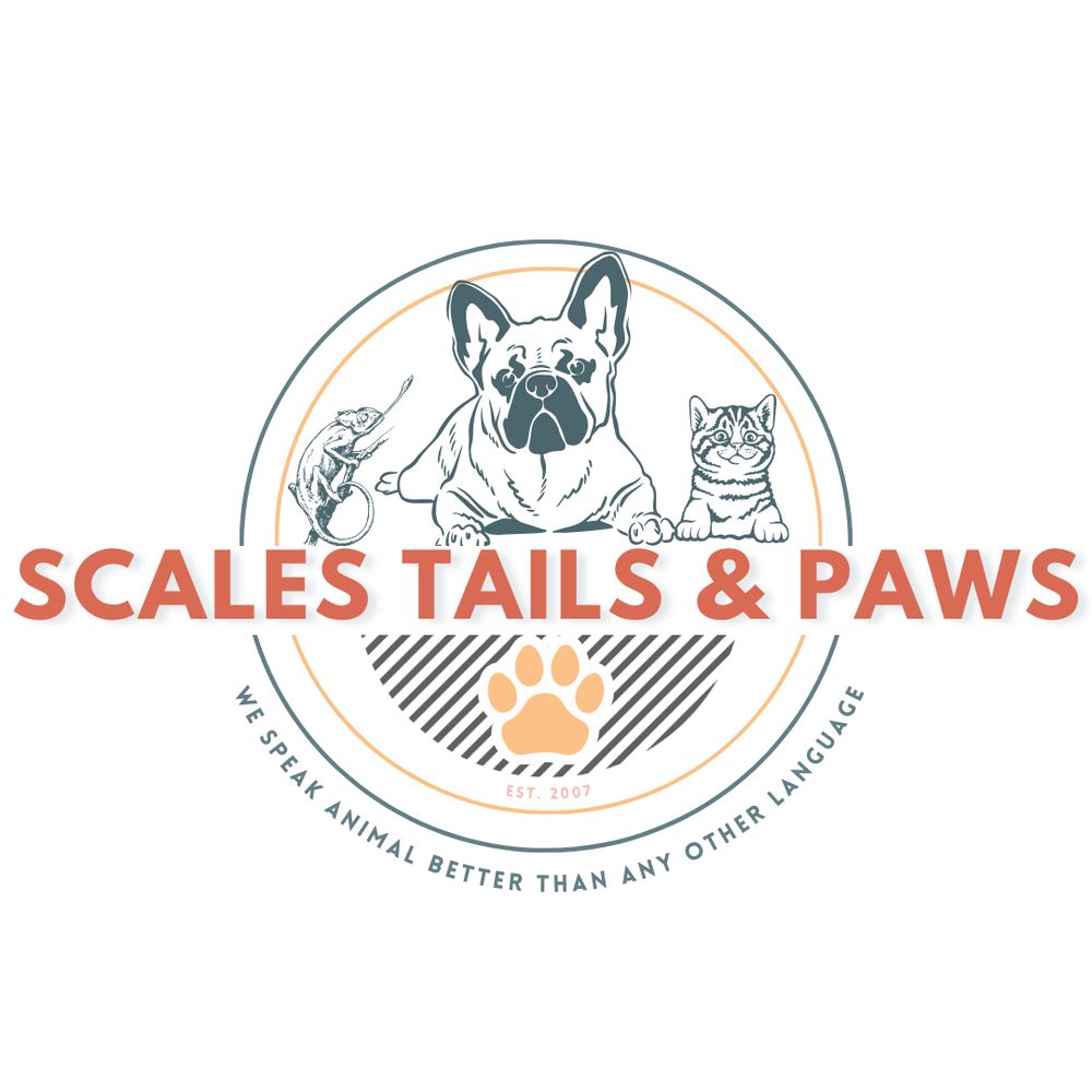 Scales Tails & Paws