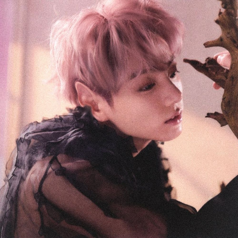 ㅤֺㅤ♰ㅤ𝓝𝑎𝑒𝑣𝑠