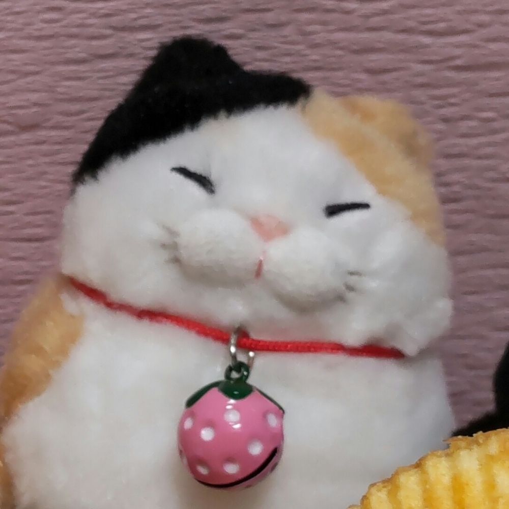 カメリア🌸