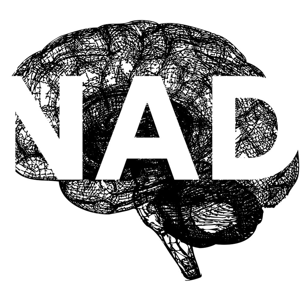 Neuroscience Academy Denmark