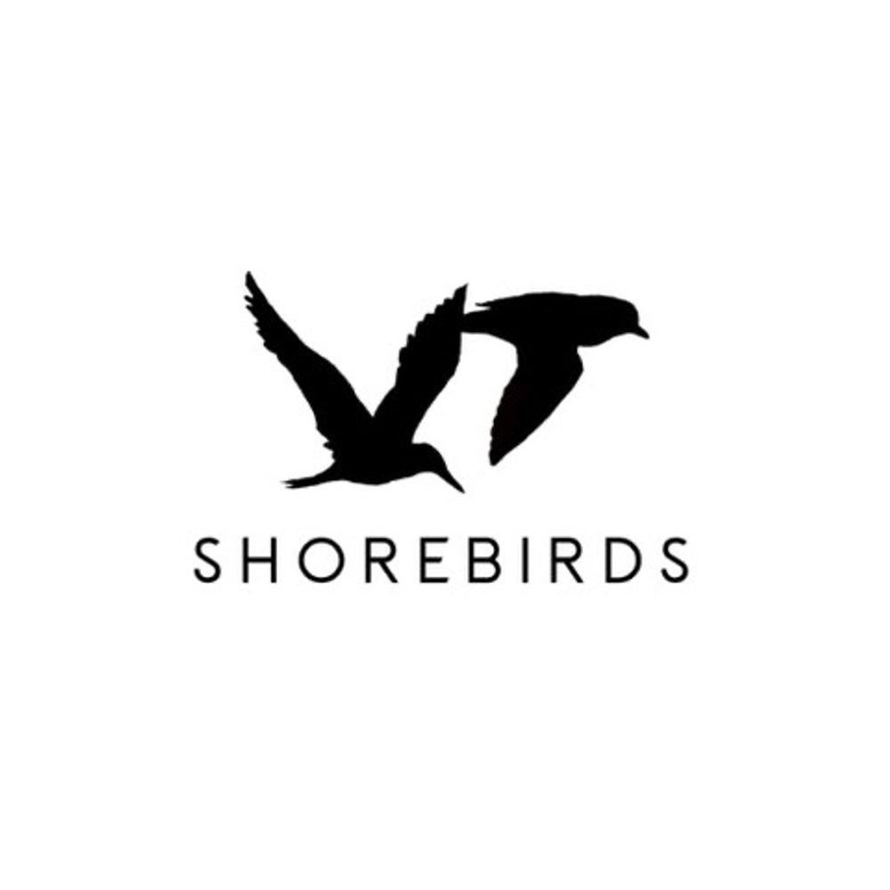 VTShorebirds