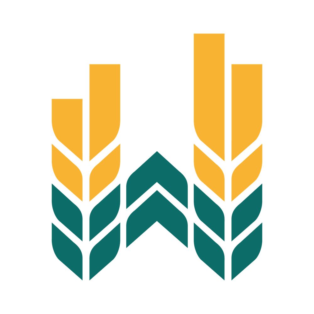 Wichita Foundation