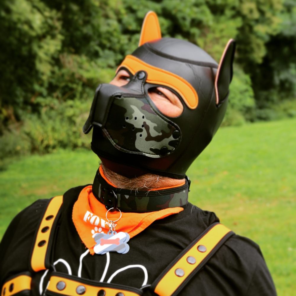 Foxy Bluesky 