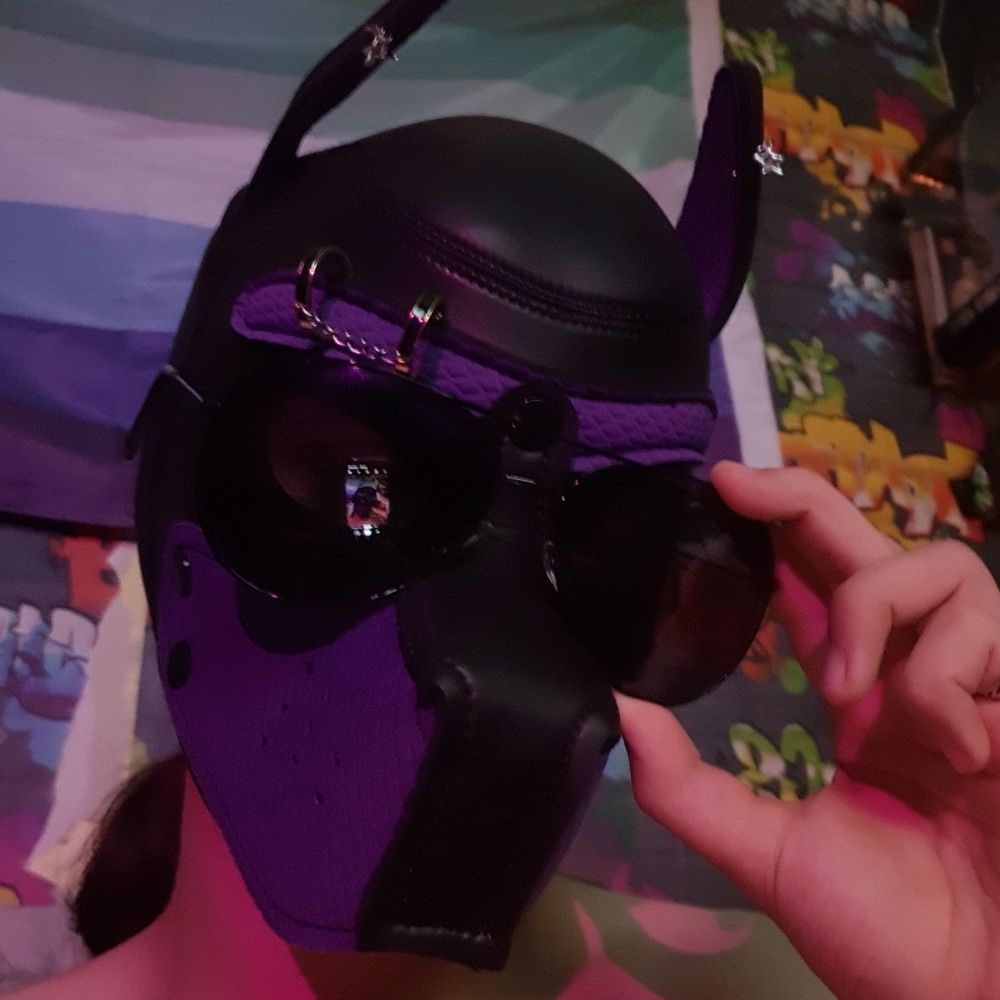 PupInARutt