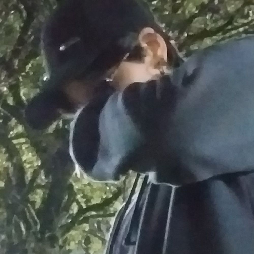 sac
