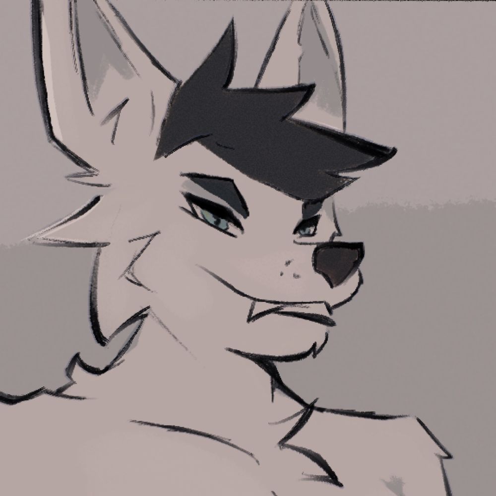 Shepard 🔜 MFF