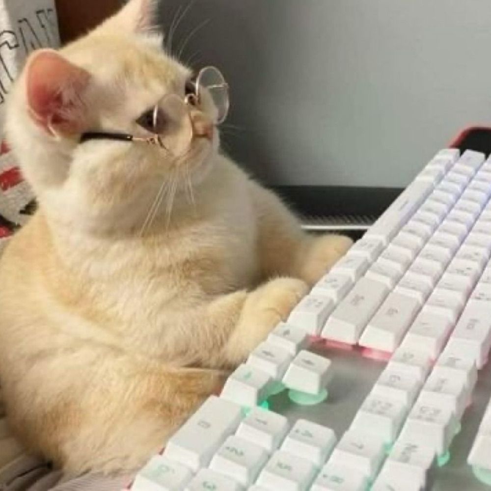☭ Dev Cansado ☭