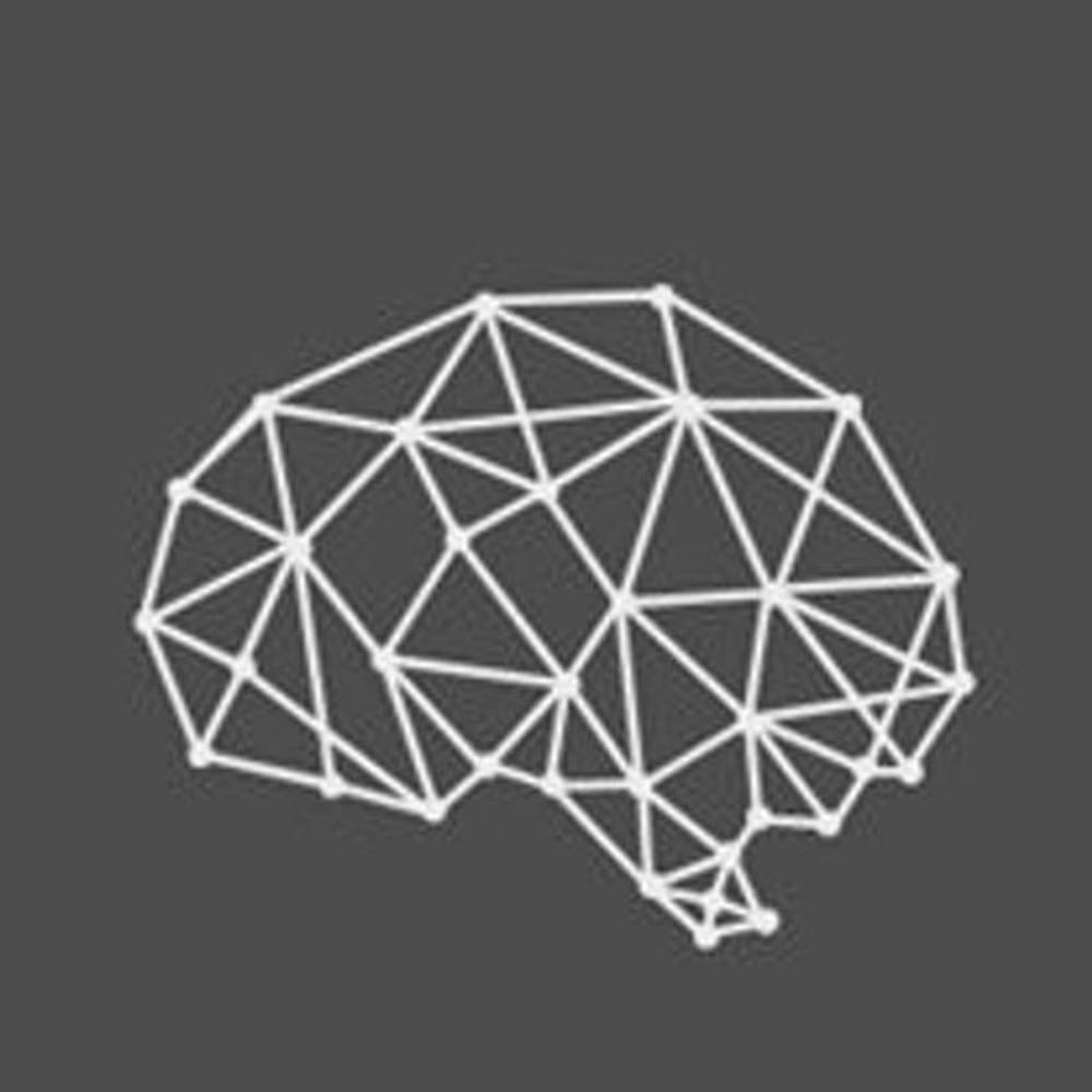Comparative Crossmodal Cognition Collective
