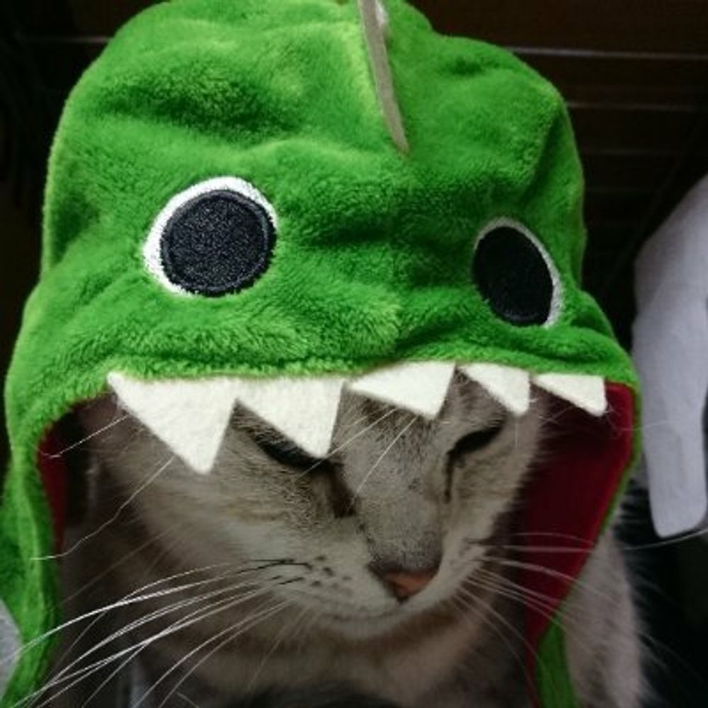 さくと@🦖▿さうるず