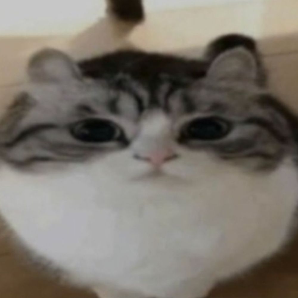 Cas :3