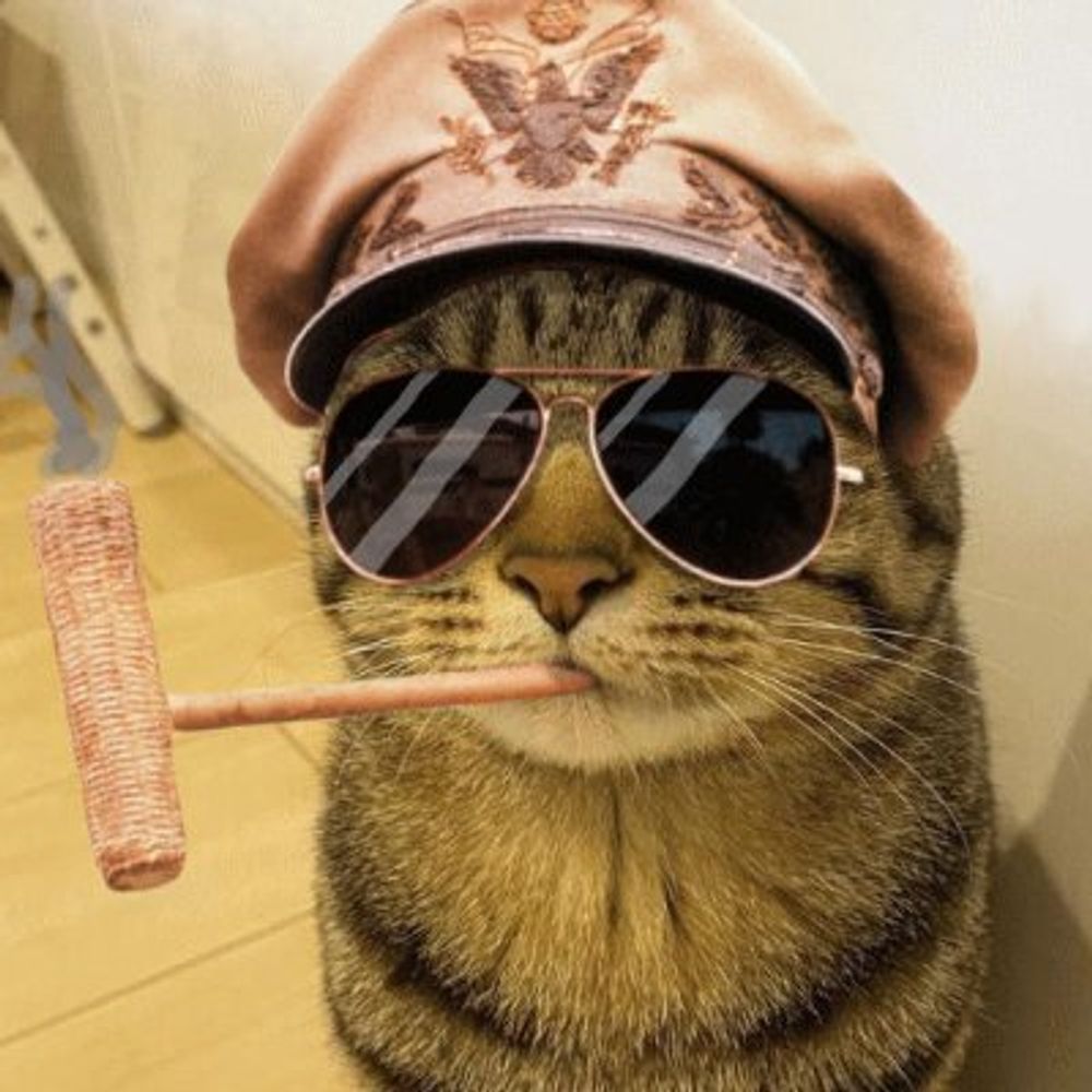 DouglasMacat