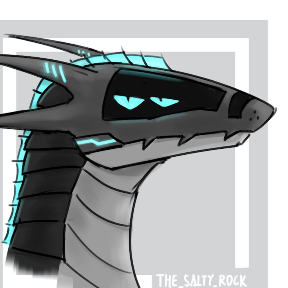 the Salty Rock