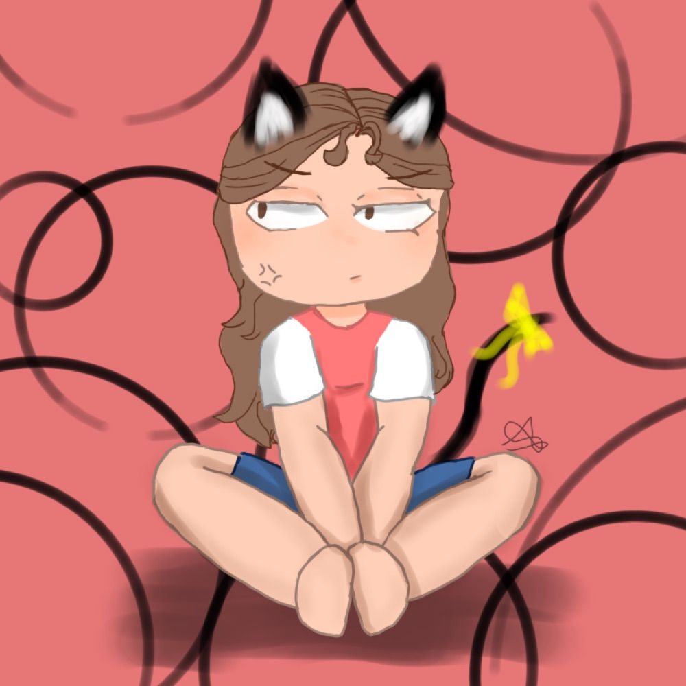 Any! 🐱