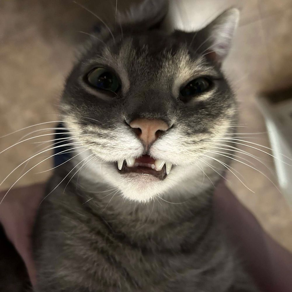 Q_Z