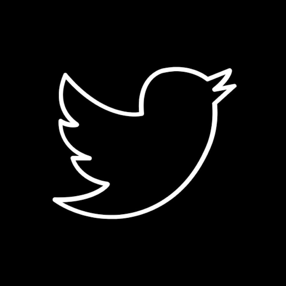 Twitter ☑️